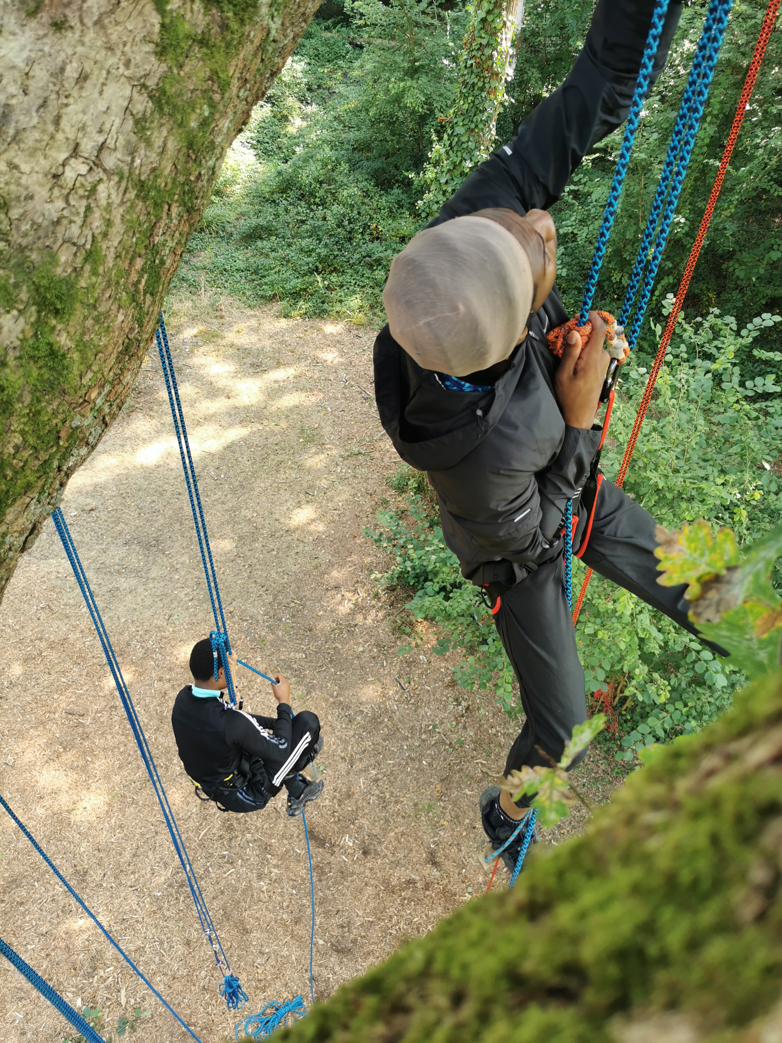 Balade arborée grimpe d'arbre découverte nature Bretagne - Photo 3