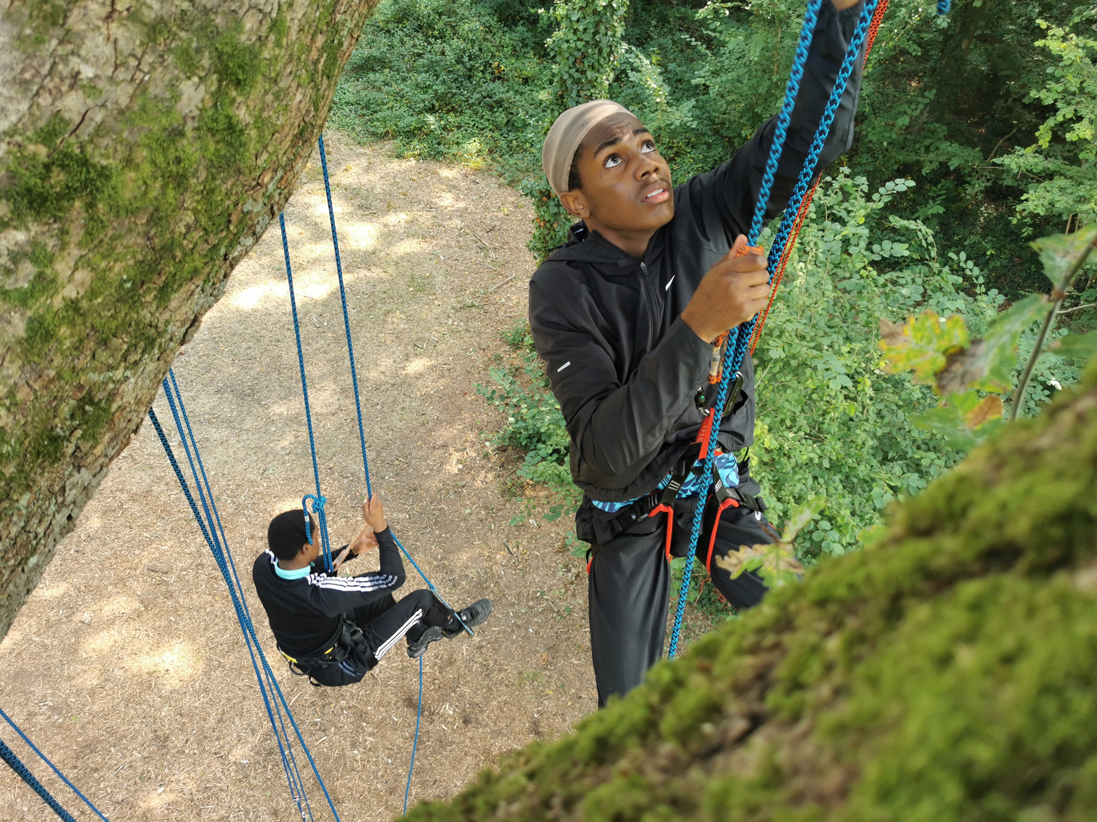 Balade arborée grimpe d'arbre découverte nature Bretagne - Photo 4