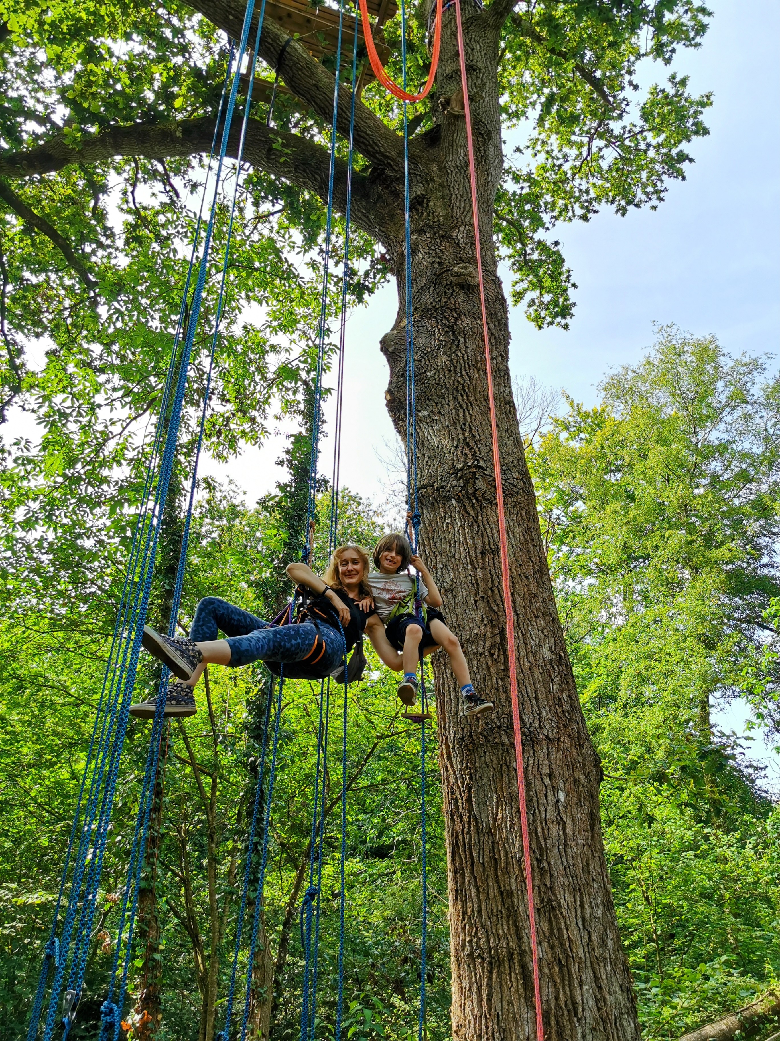 Balade arborée grimpe d'arbre découverte nature Bretagne - Photo 8