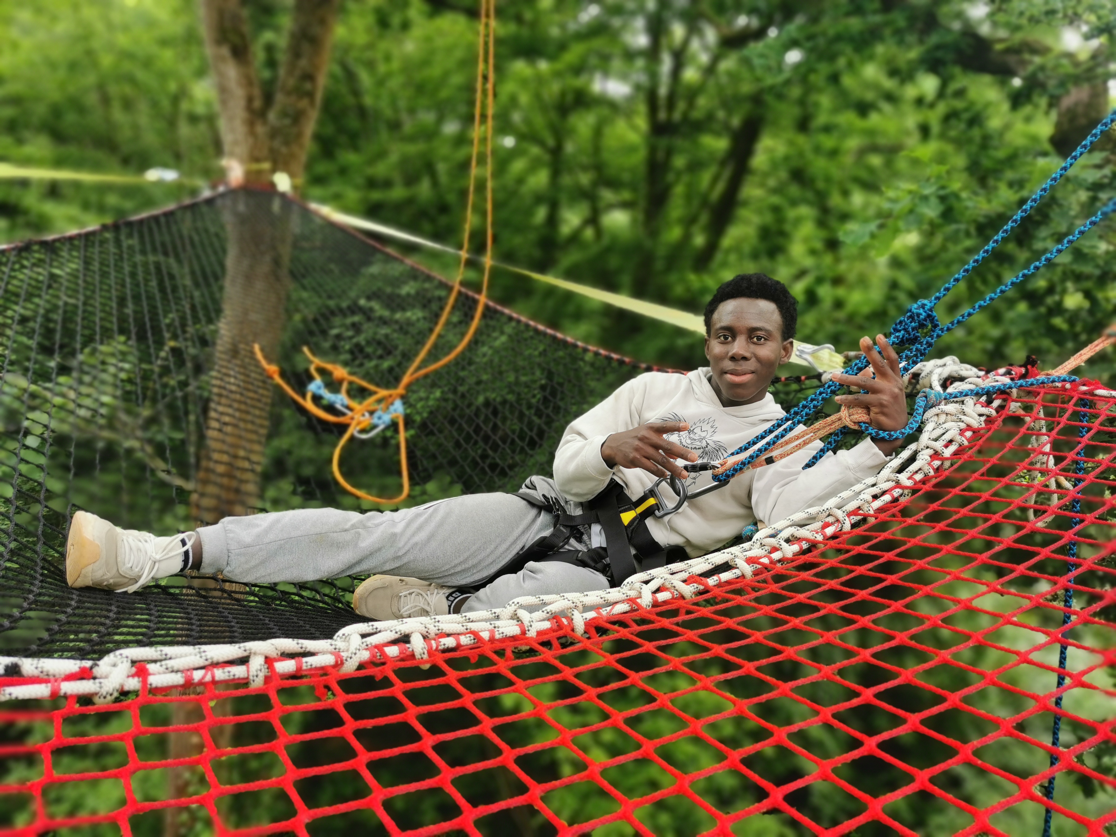 Balade arborée grimpe d'arbre découverte nature Bretagne - Photo 11