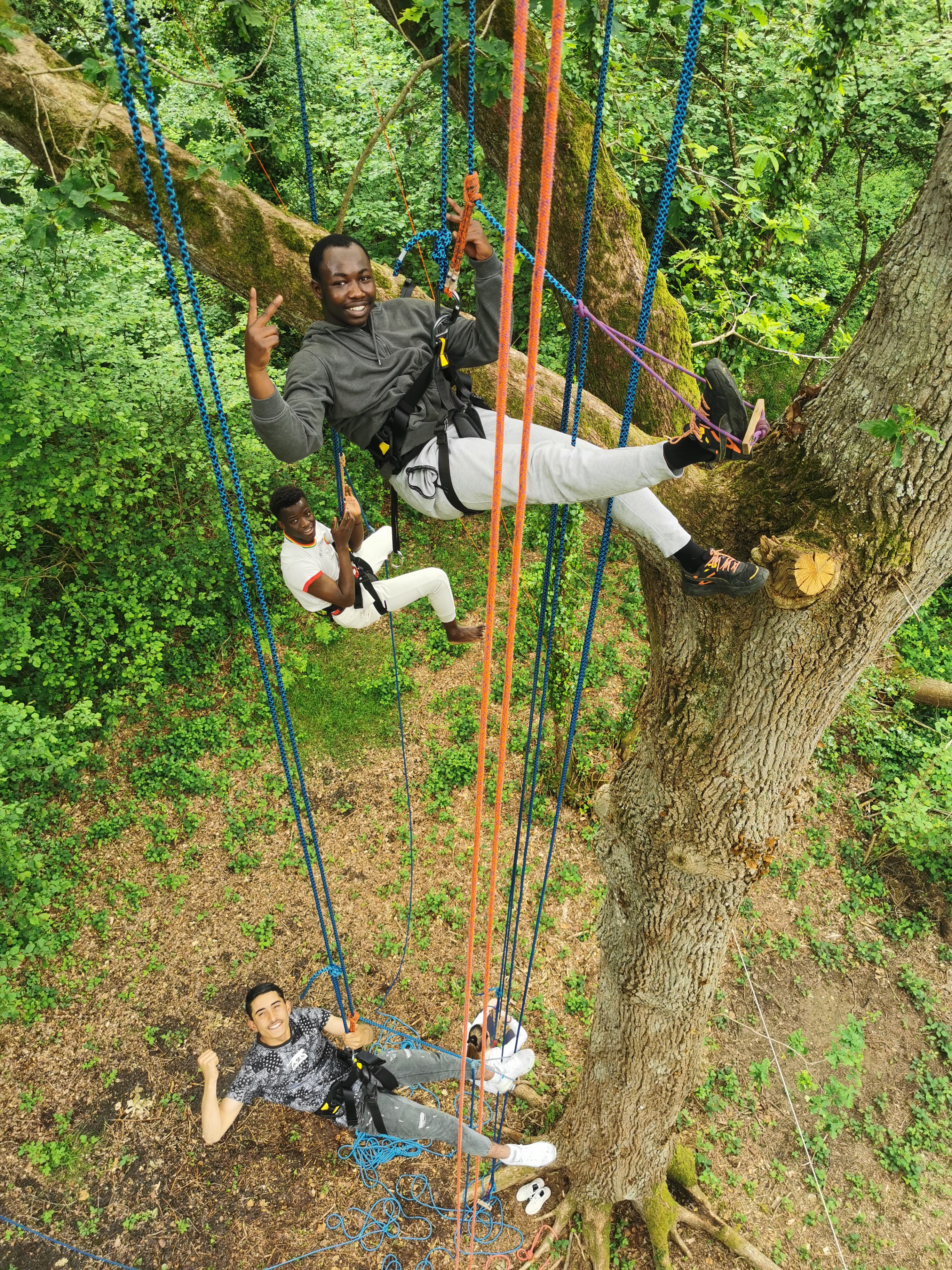 Balade arborée grimpe d'arbre découverte nature Bretagne - Photo 12