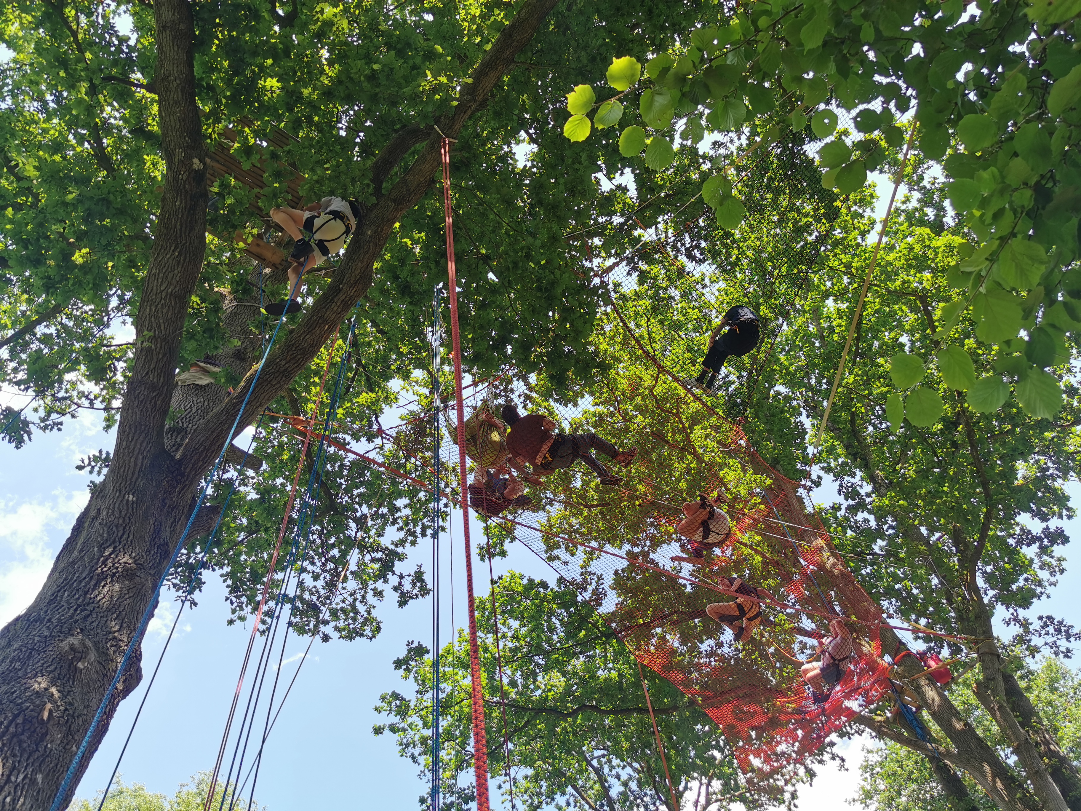 Balade arborée grimpe d'arbre découverte nature Bretagne - Photo 13