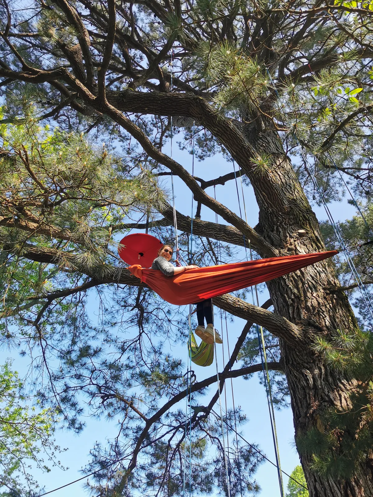 Grimpe d'arbre collectivités entreprises Bretagne - Photo 10