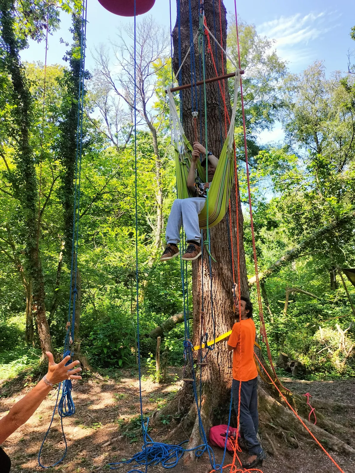 Atelier thérapeutique grimpe d'arbre handigrimpeurs Bretagne - Photo 1
