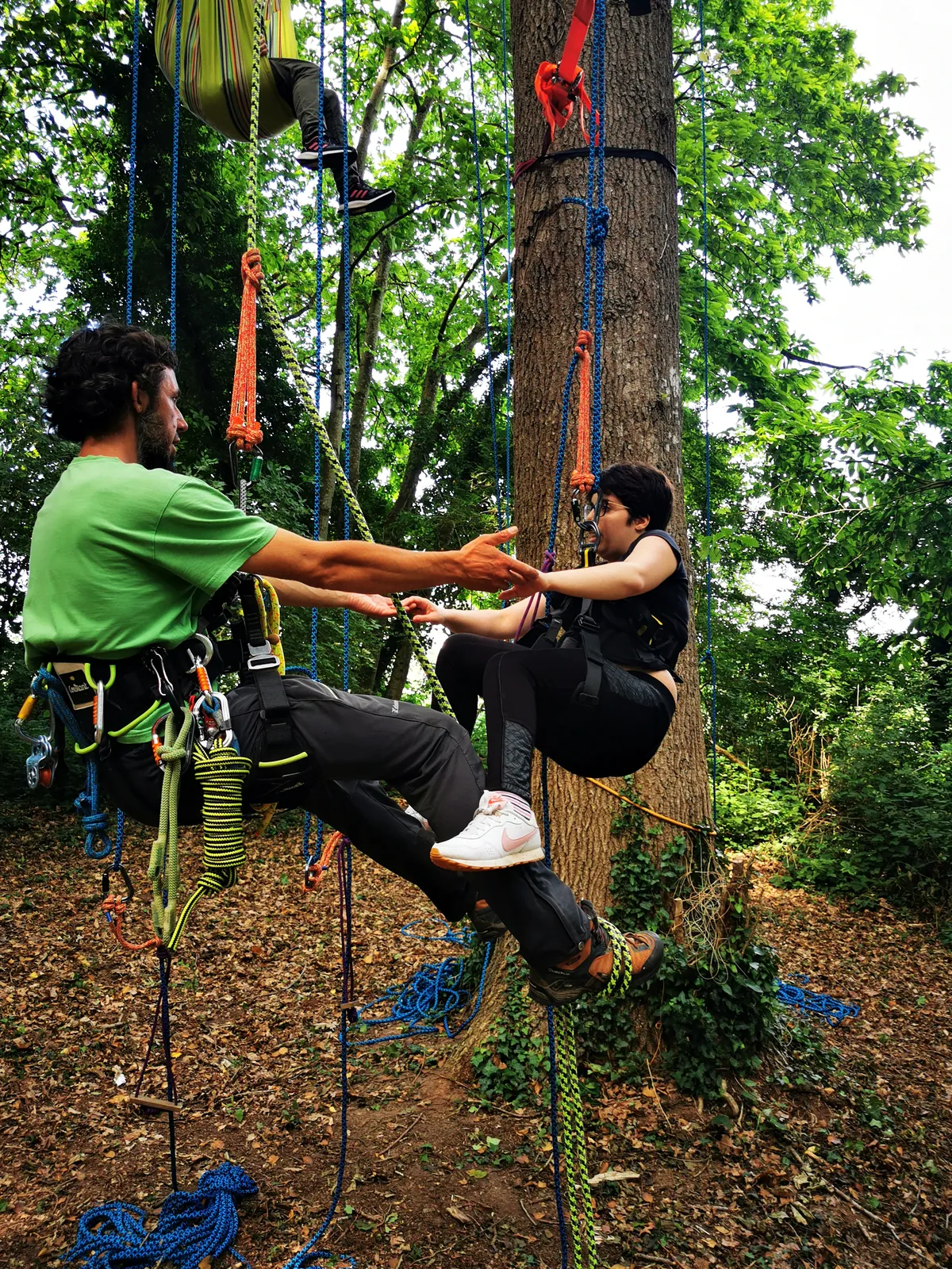Atelier thérapeutique grimpe d'arbre handigrimpeurs Bretagne - Photo 4