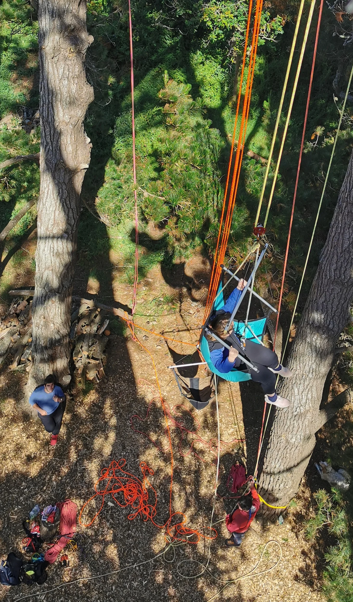 Atelier thérapeutique grimpe d'arbre handigrimpeurs Bretagne - Photo 11