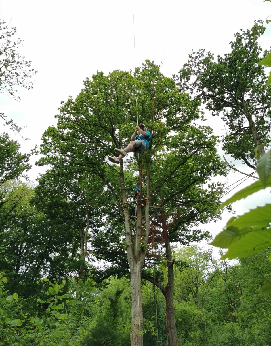 Tyrolienne grimpe d'arbre