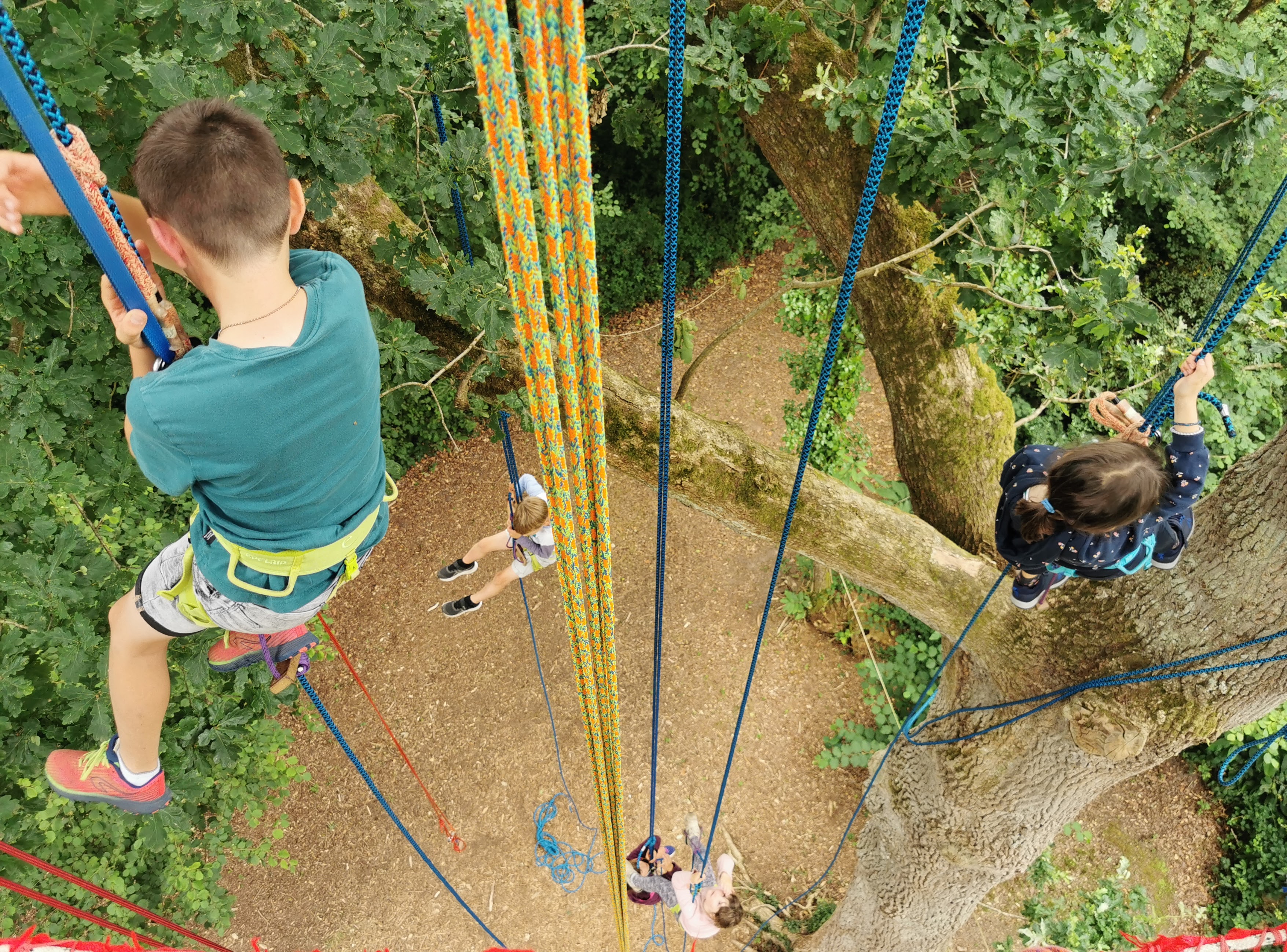 Anniversaire grimpe d'arbre - enfants grimpant avec cordes colorées vue aérienne