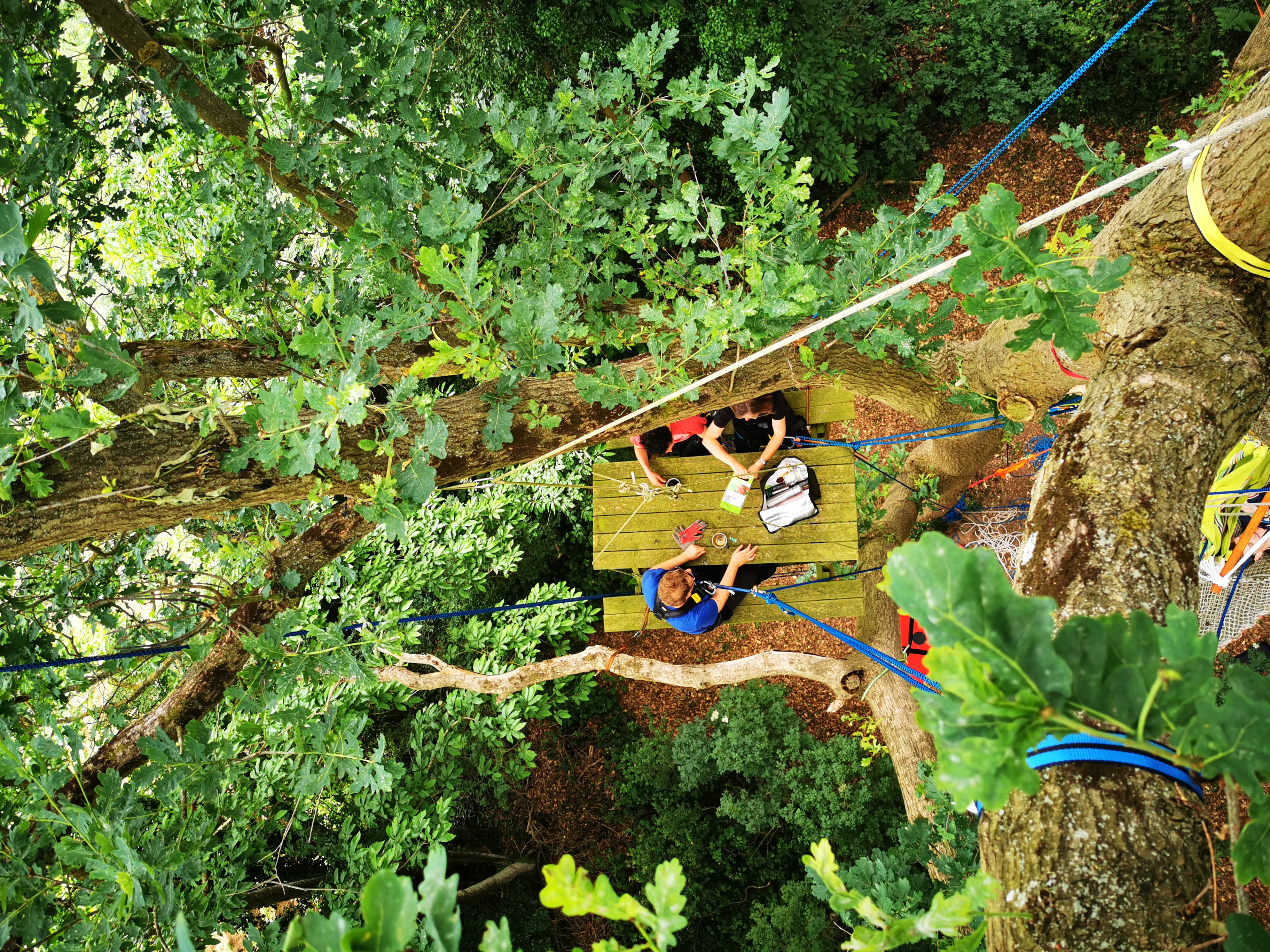 Apéro perché convivial - plateforme en bois dans les arbres à 14m de hauteur