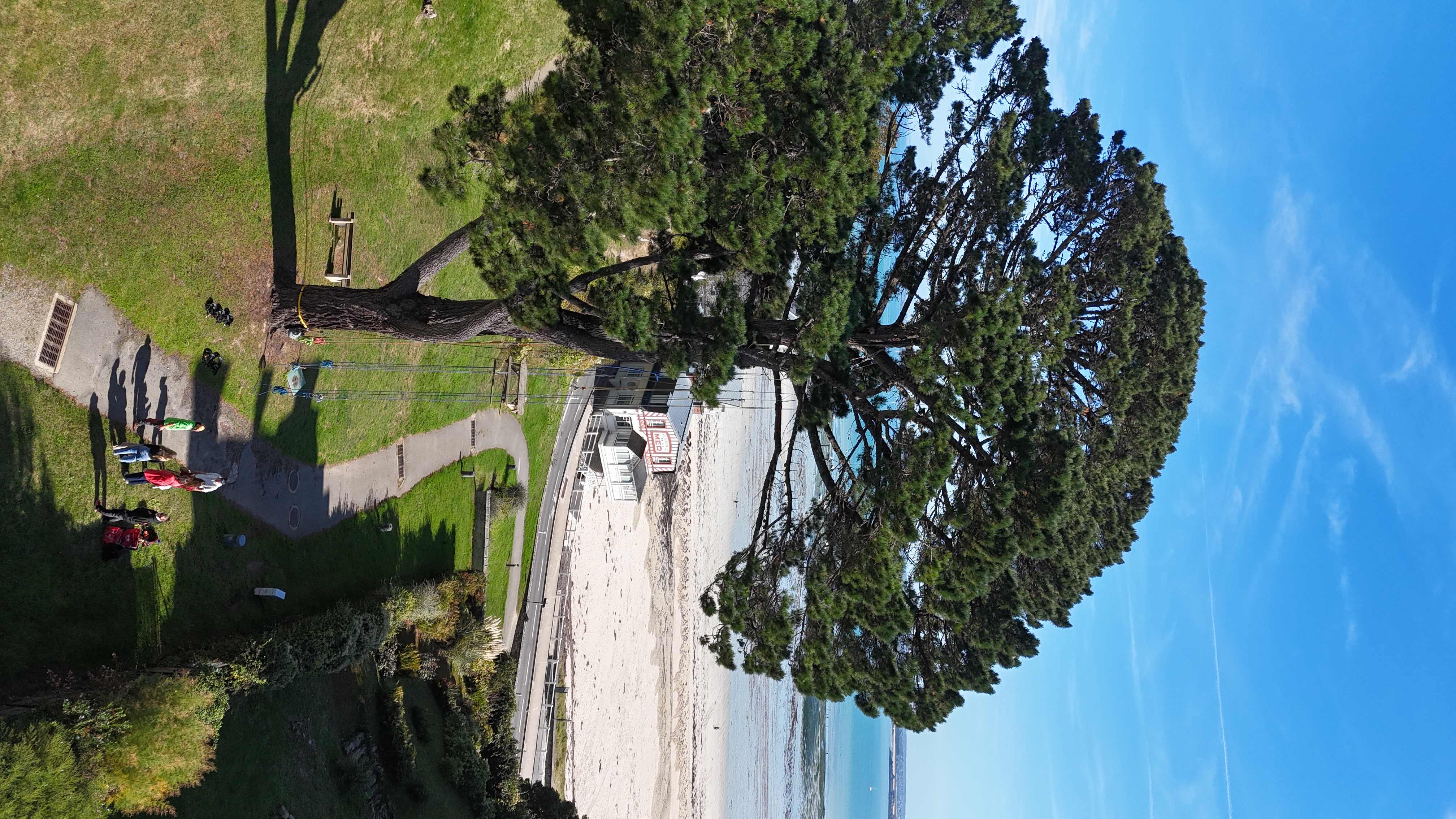 EVG EVJF grimpe arbre nature Bretagne