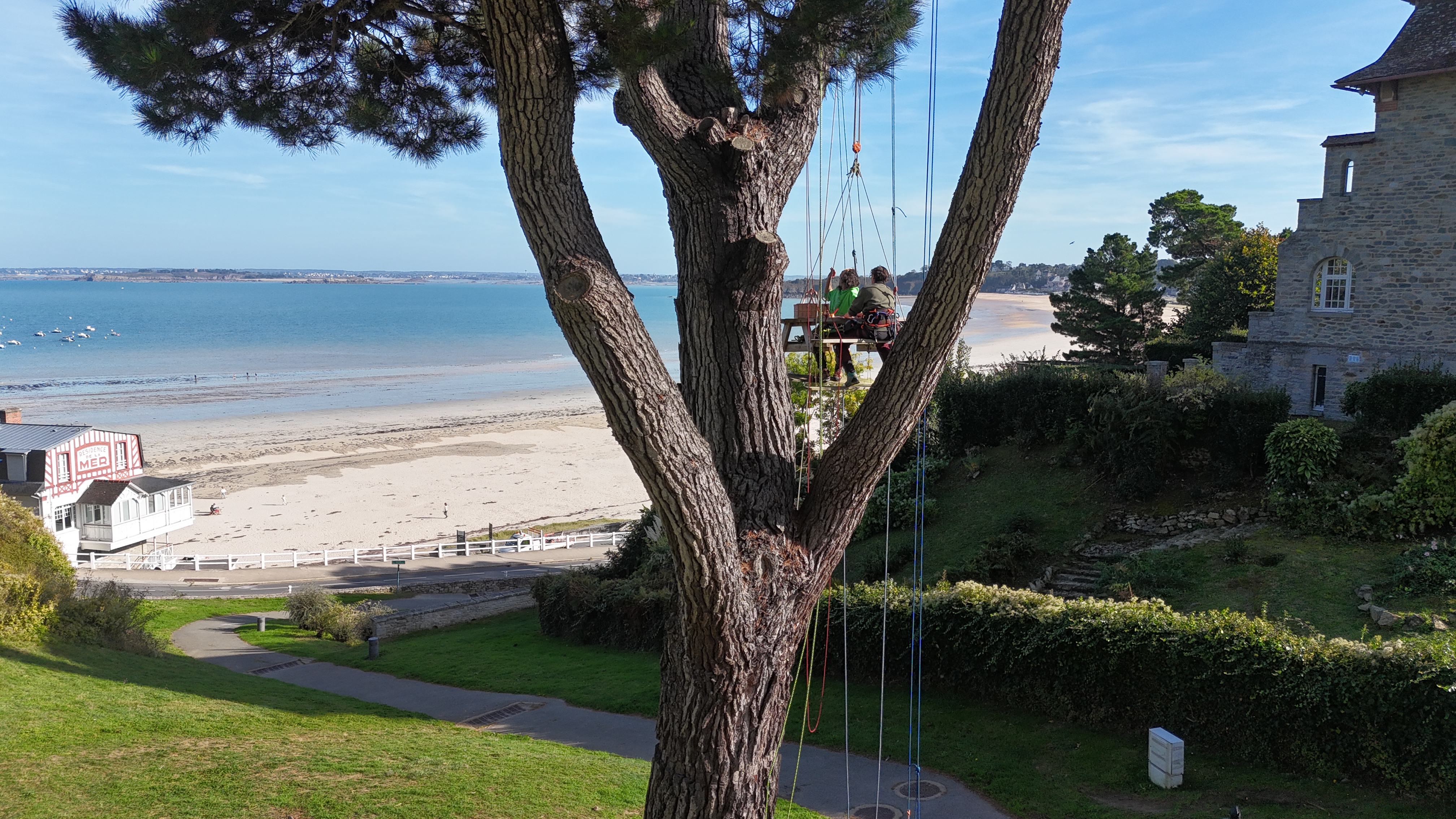 Vue aérienne grimpe d'arbre EVG EVJF Bretagne