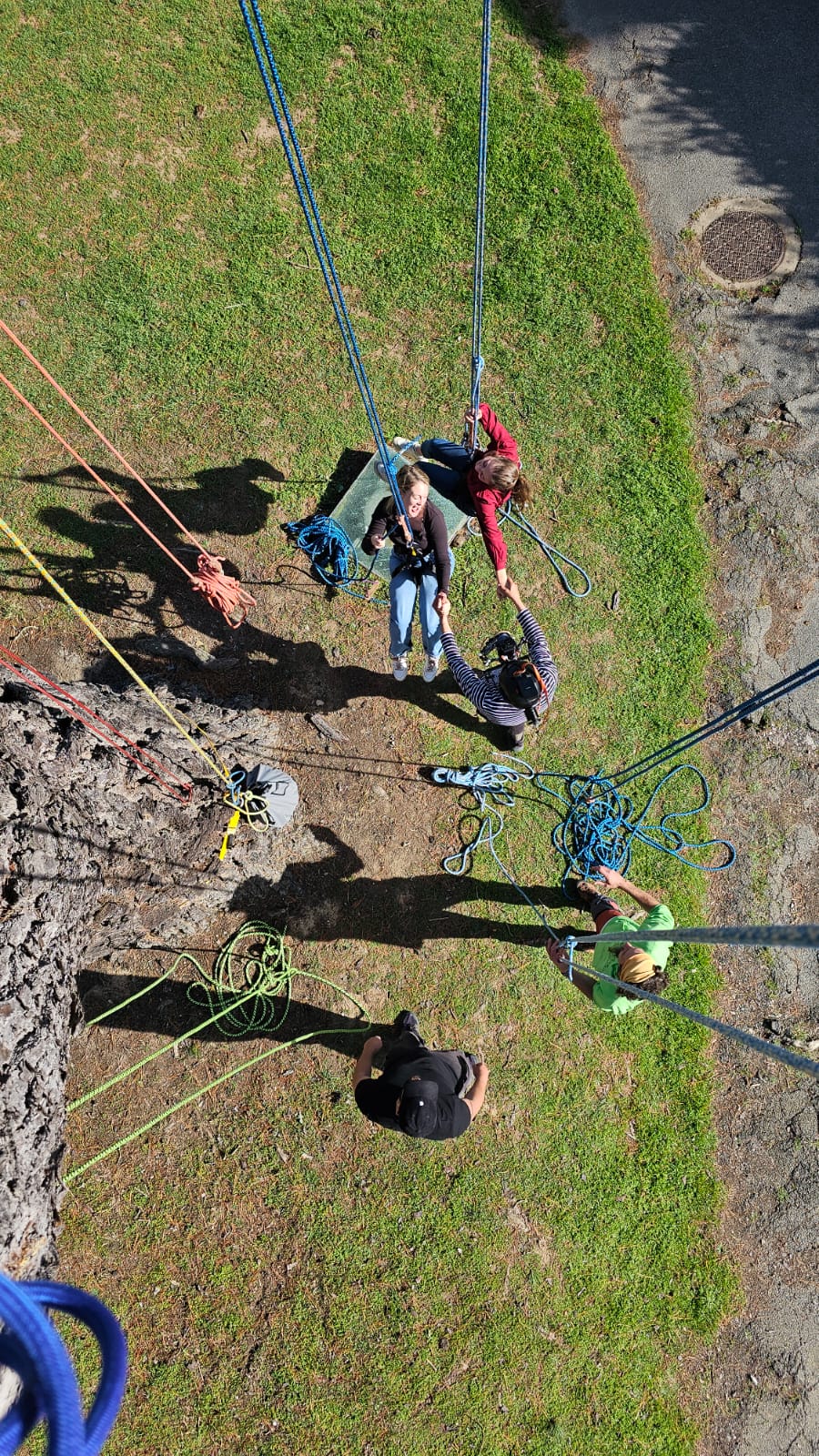 Grimpe d'arbre en pleine nature avec La Tête en l'Air - Activité encadrée en Bretagne