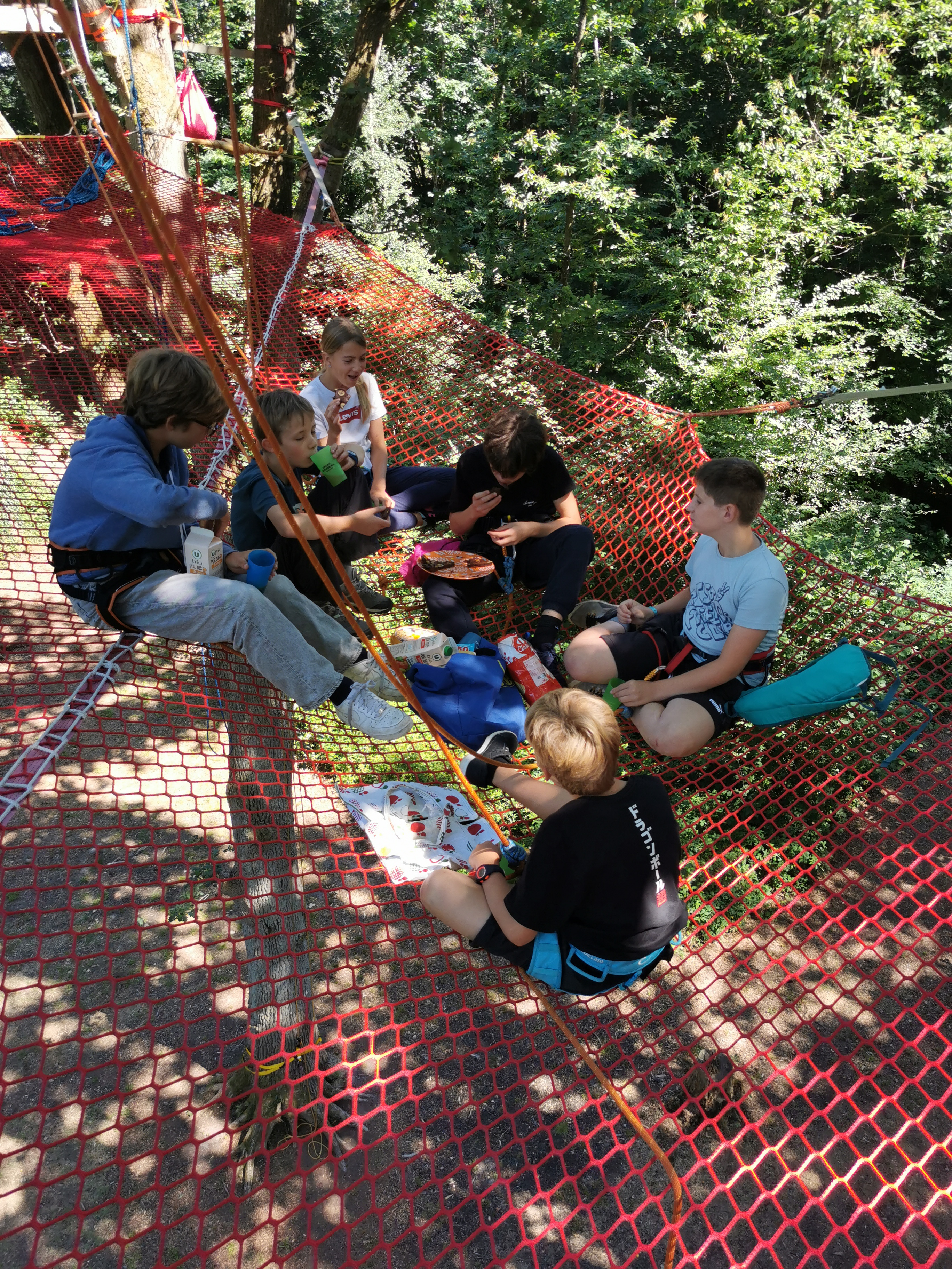 Enfant grimpant avec technique cordes lianes anniversaire accrobranche Plancoët - Activité sécurisée encadrée