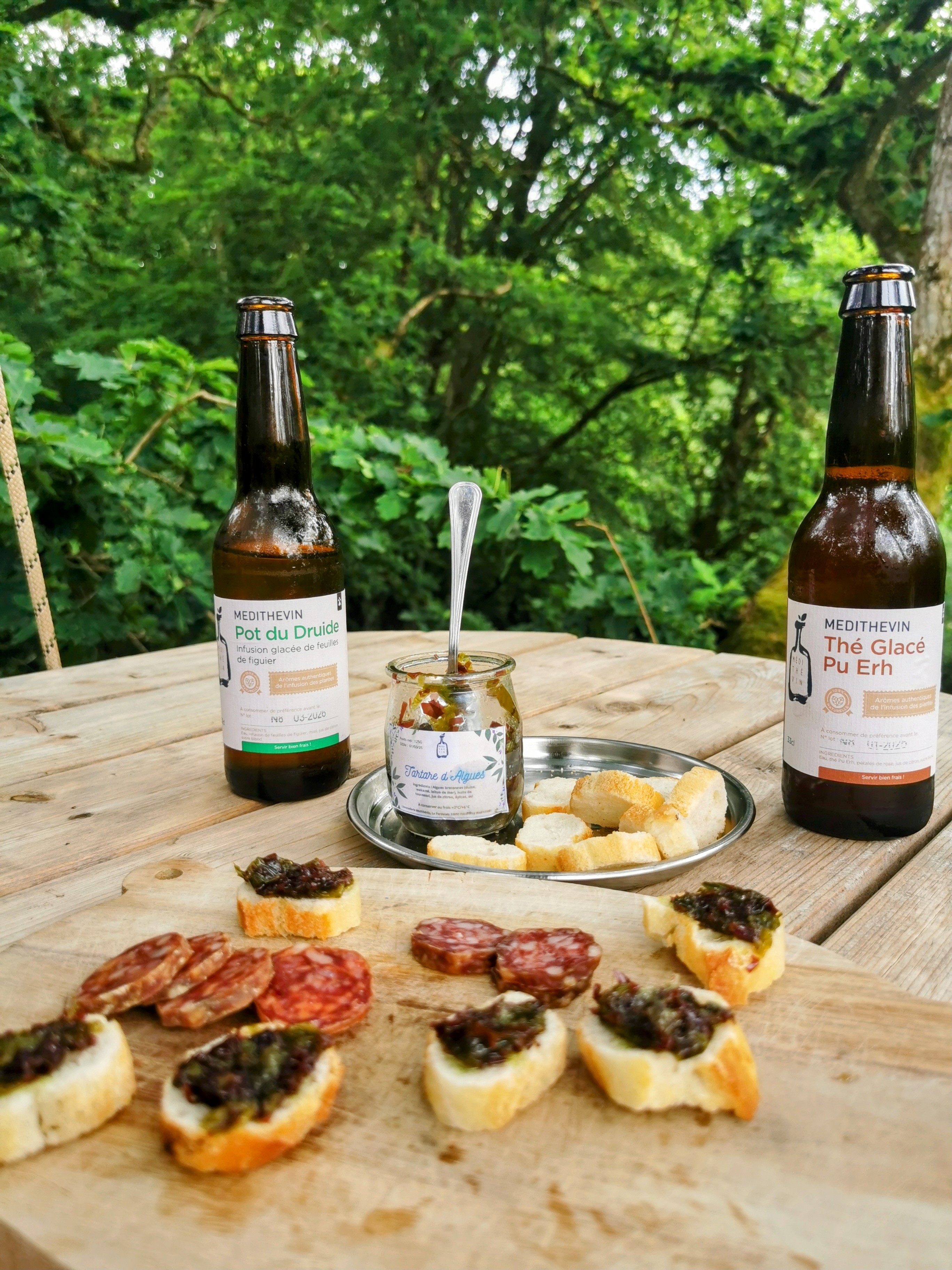 Vue spectaculaire depuis la canopée lors d'un apéro perché - Expérience insolite nature et bien-être en Côtes-d'Armor