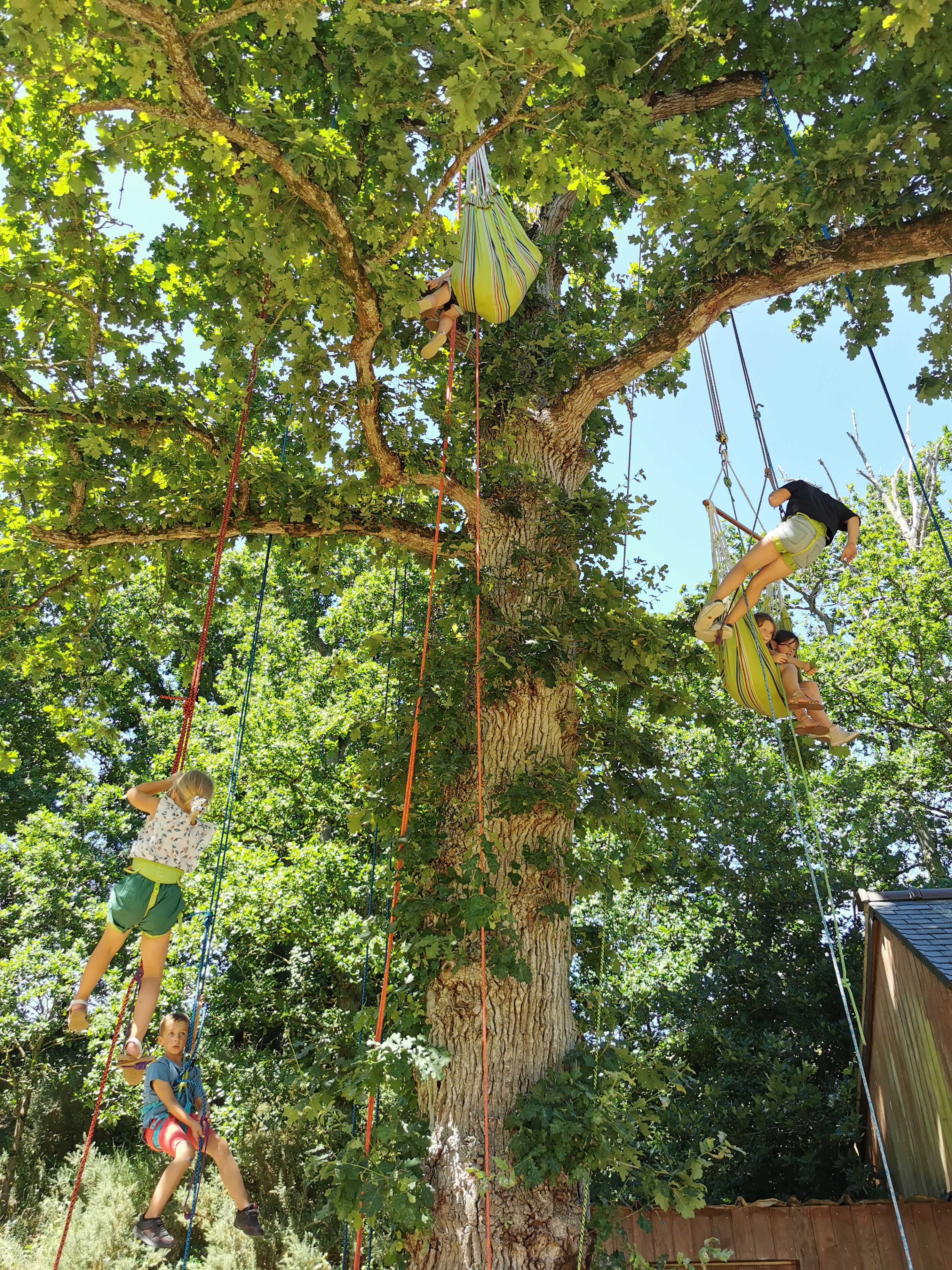 Centre de loisirs activité nature grimpe arbre - Bretagne, Côtes-d'Armor