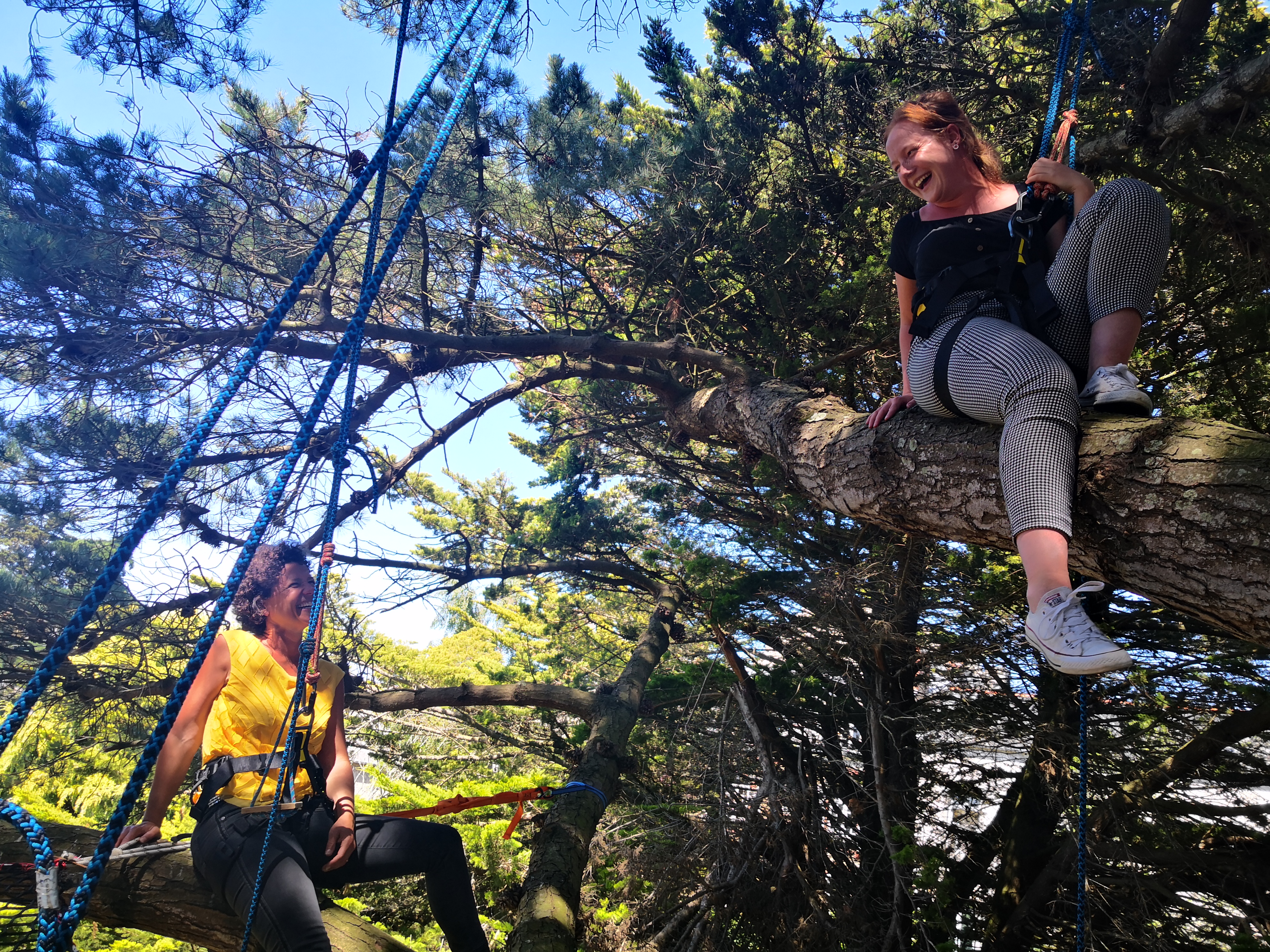 Team building entreprise grimpe d'arbre - groupe en activité nature sur la Côte d'Émeraude - Beaussais-sur-Mer Bretagne