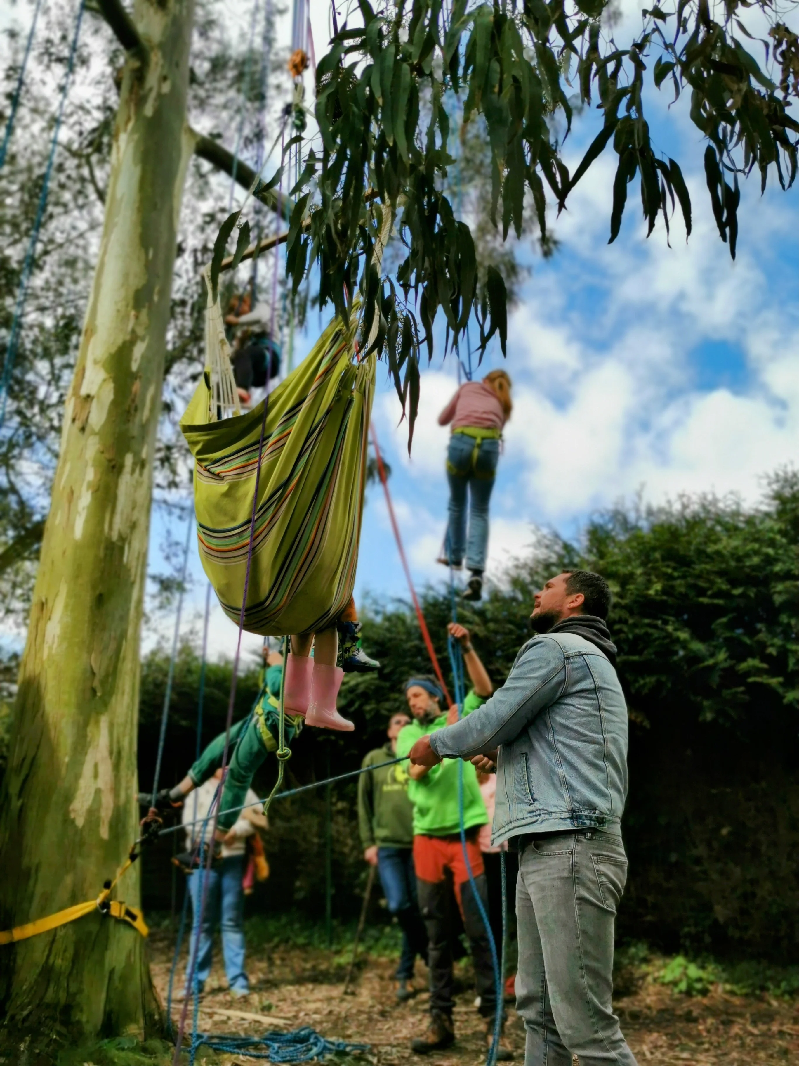 Fête locale activité nature grimpe arbre - Côte d'Émeraude, Bretagne