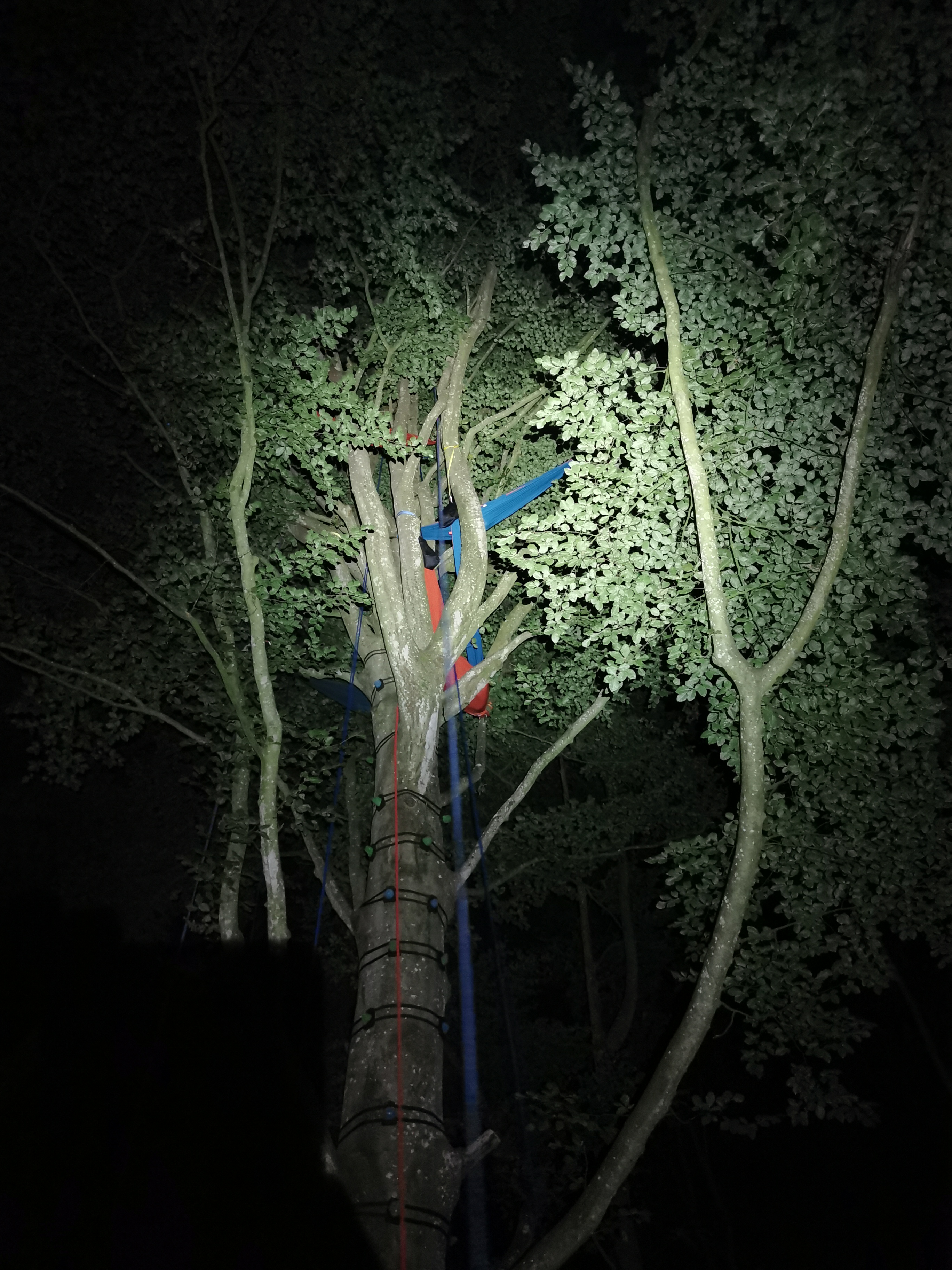 Expérience nuit perchée immersion nature Beaussais-sur-Mer - Dormir dans les arbres à plus de 10m de hauteur Bretagne