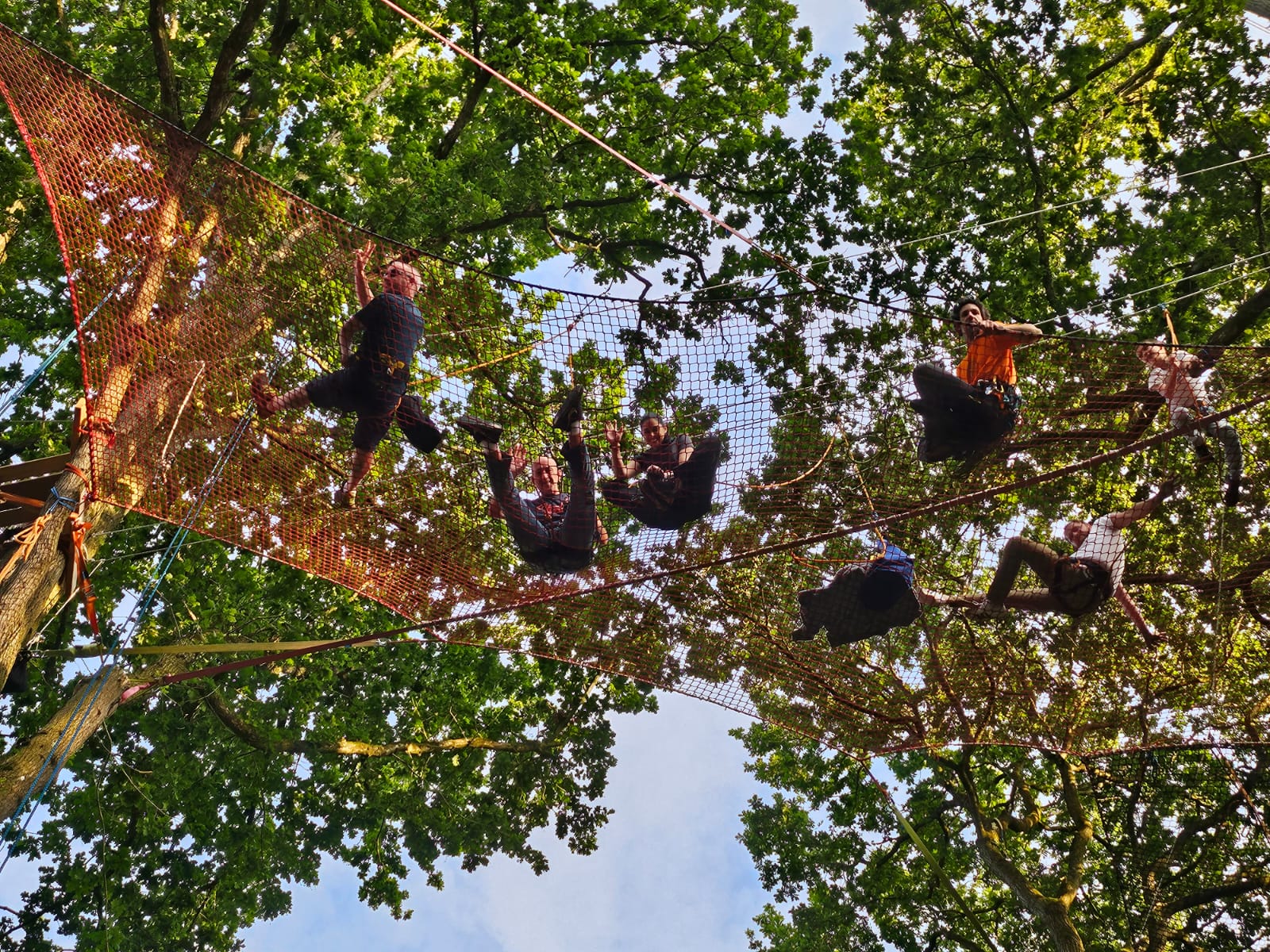 Séminaire entreprise nature grimpe arbre - Côte d'Émeraude, Bretagne, Côtes-d'Armor
