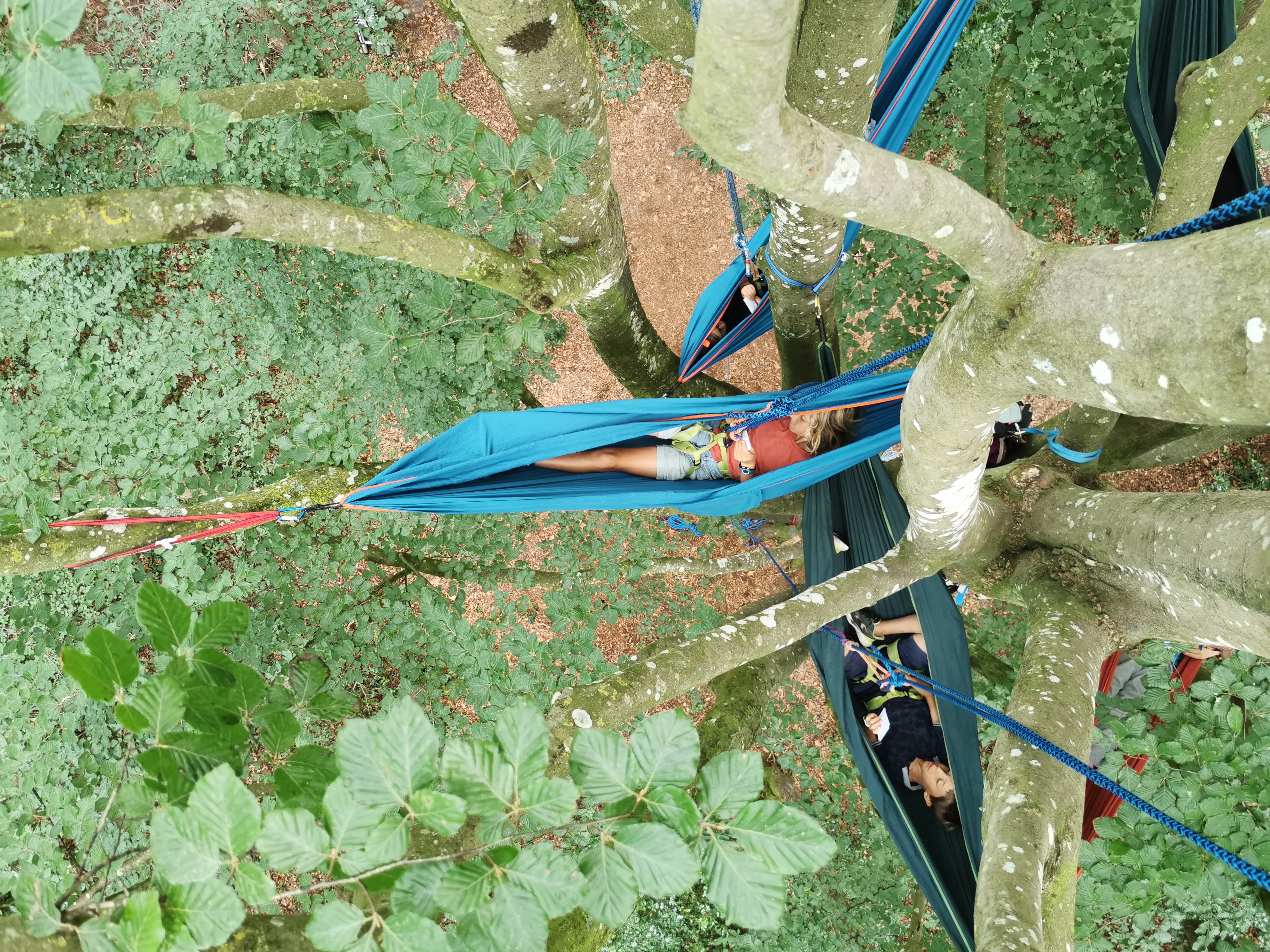 Enfant grimpant dans un arbre en forêt avec techniques de cordes stage vacances Bretagne - Grimpe arbre sécurisée