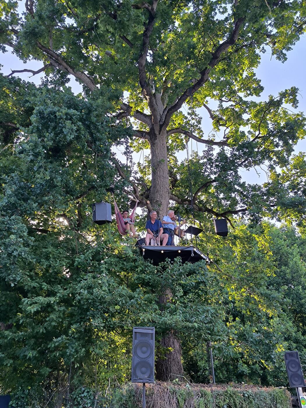 Vue d'ensemble de L'Arborium installé dans un chêne majestueux avec sonorisation - scène perchée pour événements à Auray