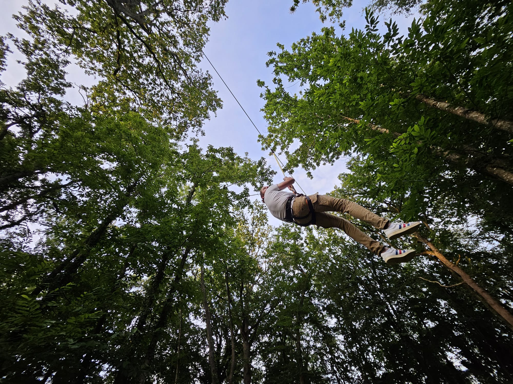 Team building séminaire nature - tyrolienne grimpe d'arbre cohésion équipe Bretagne